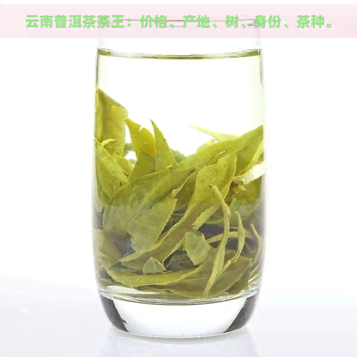 云南普洱茶茶王：价格、产地、树、身份、茶种。