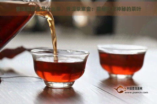 普洱茶紫金是什么茶，普洱茶紫金：揭秘这款神秘的茶叶