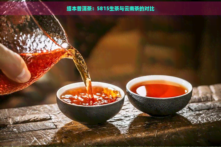 缅本普洱茶：5815生茶与云南茶的对比