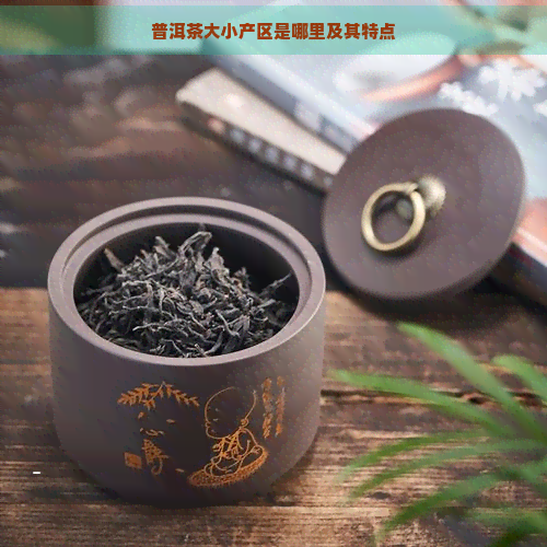 普洱茶大小产区是哪里及其特点