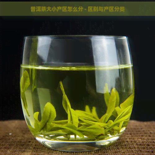 普洱茶大小产区怎么分 - 区别与产区分类