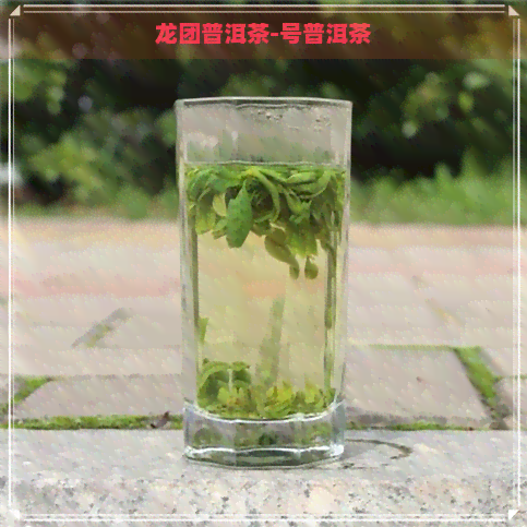 龙团普洱茶-号普洱茶