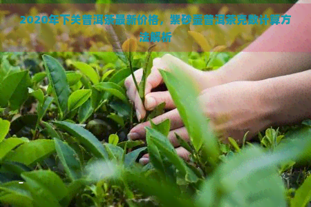 2020年下关普洱茶最新价格，紫砂壶普洱茶克数计算方法解析