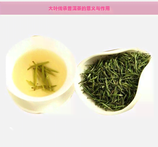 大叶传承普洱茶的意义与作用