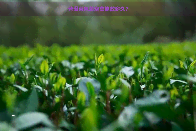 普洱茶包装空盒能放多久？