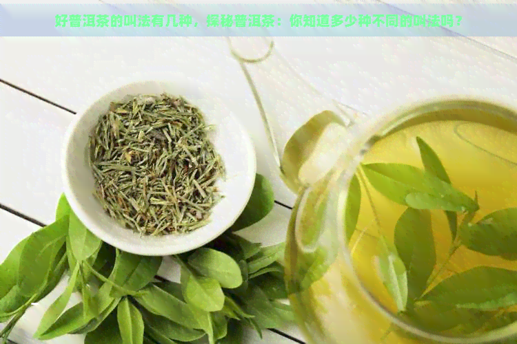 好普洱茶的叫法有几种，探秘普洱茶：你知道多少种不同的叫法吗？