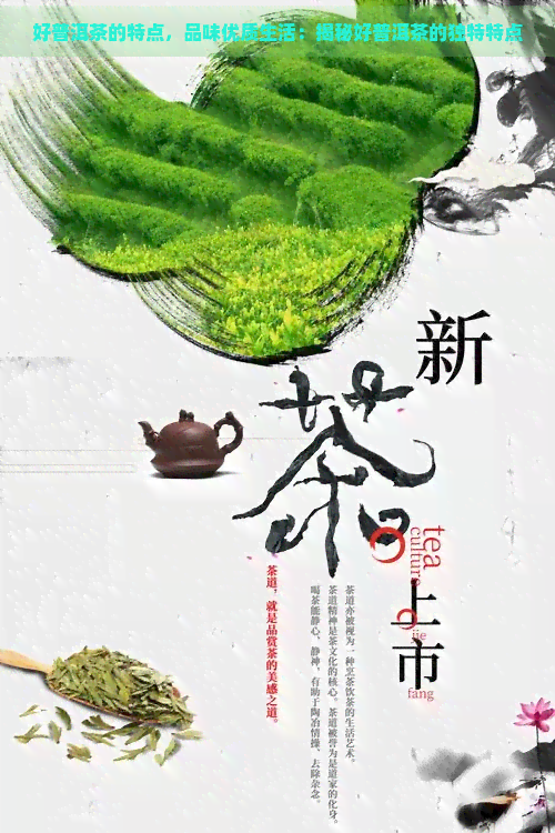 好普洱茶的特点，品味优质生活：揭秘好普洱茶的独特特点