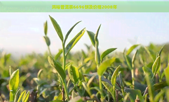 鸿裕普洱茶6696饼及价格2008年