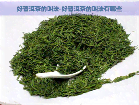 好普洱茶的叫法-好普洱茶的叫法有哪些