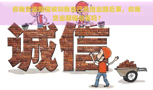 你我贷逾期叫我自己承担逾期后果，你我贷逾期害吗？