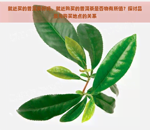 就近买的普洱茶好吗，就近购买的普洱茶是否物有所值？探讨品质与购买地点的关系