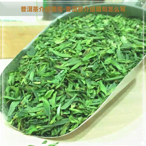 普洱茶介绍简句-普洱茶介绍简句怎么写