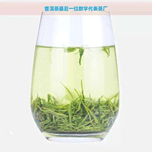 普洱茶最后一位数字代表茶厂