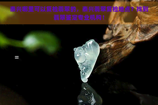 泰兴哪里可以复检翡翠的，泰兴翡翠复检地点？找到翡翠鉴定专业机构！