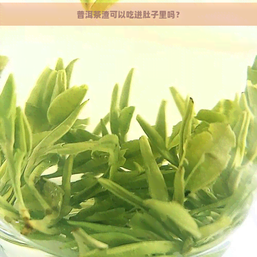 普洱茶渣可以吃进肚子里吗？