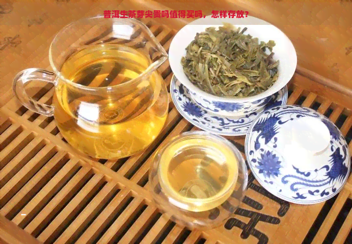 普洱生茶芽尖贵吗值得买吗，怎样存放？