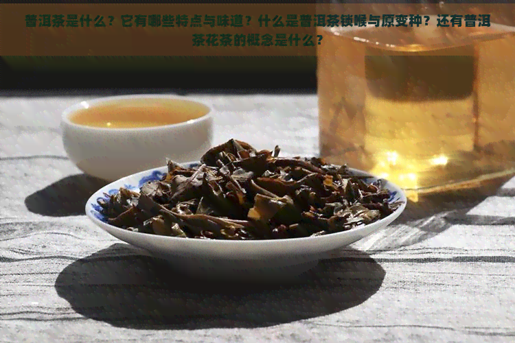 普洱茶是什么？它有哪些特点与味道？什么是普洱茶锁喉与原变种？还有普洱茶花茶的概念是什么？