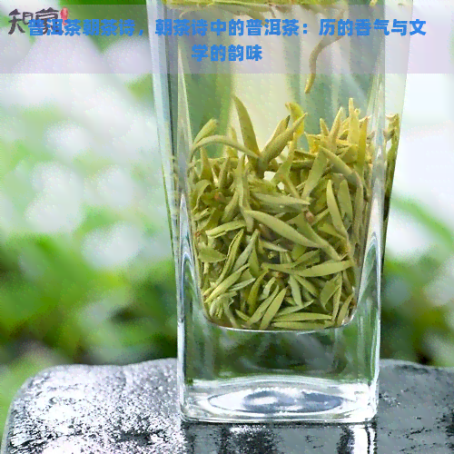 普洱茶朝茶诗，朝茶诗中的普洱茶：历的香气与文学的韵味