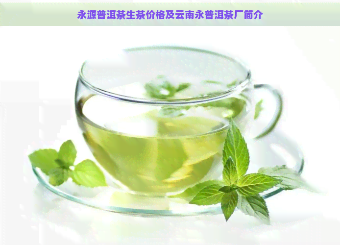 永源普洱茶生茶价格及云南永普洱茶厂简介