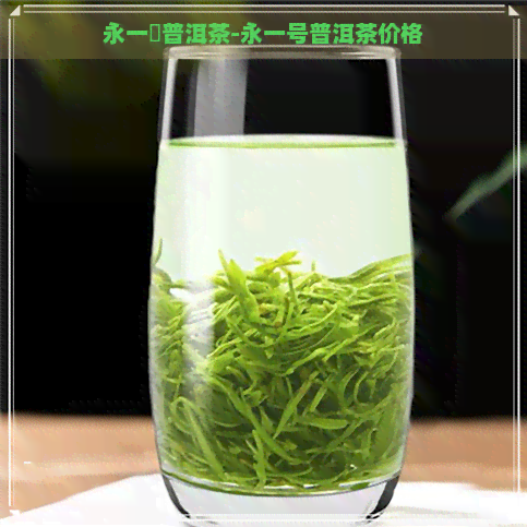 永一號普洱茶-永一号普洱茶价格