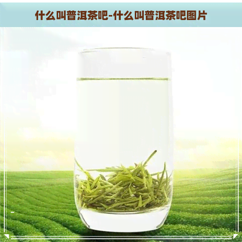 什么叫普洱茶吧-什么叫普洱茶吧图片