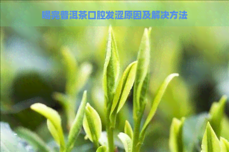 喝完普洱茶口腔发涩原因及解决方法