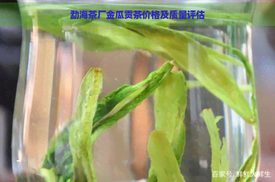 勐海茶厂金瓜贡茶价格及质量评估