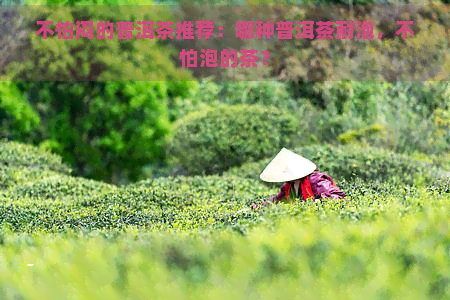 不怕闷的普洱茶推荐：哪种普洱茶耐泡，不怕泡的茶？