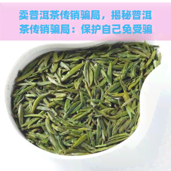 卖普洱茶传销骗局，揭秘普洱茶传销骗局：保护自己免受骗局伤害的关键