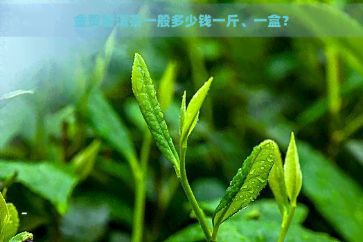 金贡普洱茶一般多少钱一斤、一盒？