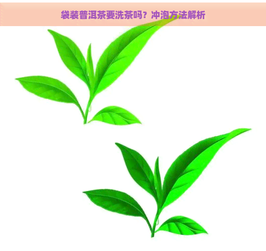 袋装普洱茶要洗茶吗？冲泡方法解析