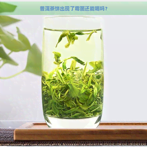 普洱茶饼出现了霉菌还能喝吗？