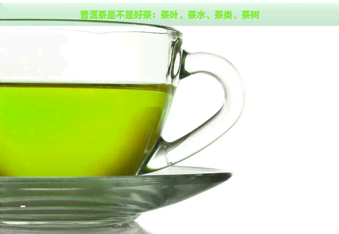 普洱茶是不是好茶：茶叶、茶水、茶类、茶树