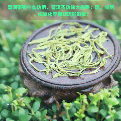 普洱茶有什么功用，普洱茶功效大揭秘：健、减肥、抗氧化等你知道的好处！