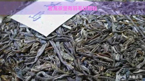 普洱茶里有羽毛状颗粒