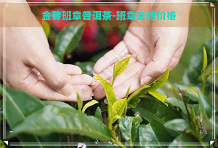 金砖班章普洱茶-班章金砖价格