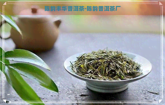 陈韵丰华普洱茶-陈韵普洱茶厂