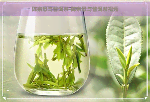 陈宗懋与普洱茶-陈宗懋与普洱茶视频