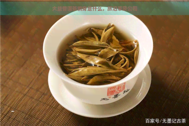 大益普洱茶前身是什么，历沿革及公司