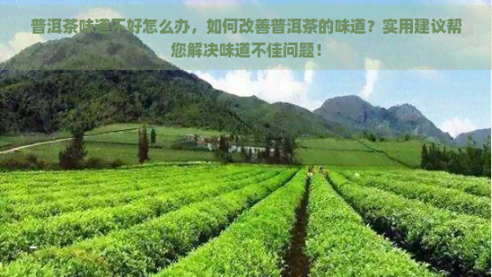 普洱茶味道不好怎么办，如何改善普洱茶的味道？实用建议帮您解决味道不佳问题！