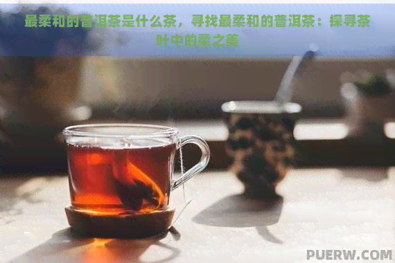 最柔和的普洱茶是什么茶，寻找最柔和的普洱茶：探寻茶叶中的柔之美