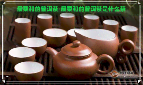 最柔和的普洱茶-最柔和的普洱茶是什么茶