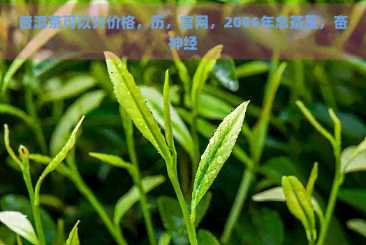 普洱茶可以兴价格，历，官网，2006年念茶圣，奋神经