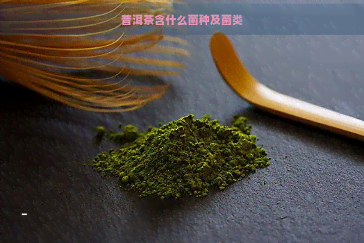 普洱茶含什么菌种及菌类