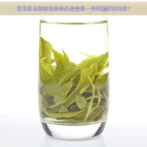 普洱茶后发酵是熟茶还是生茶 - 有何区别和特质？