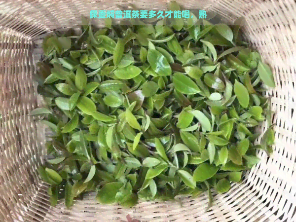 保壶焖普洱茶要多久才能喝，熟