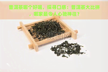 普洱茶哪个好喝，探寻口感：普洱茶大比拼，哪家最令人心驰神往？