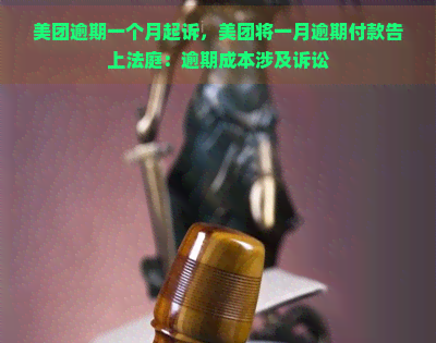 美团逾期一个月起诉，美团将一月逾期付款告上法庭：逾期成本涉及诉讼