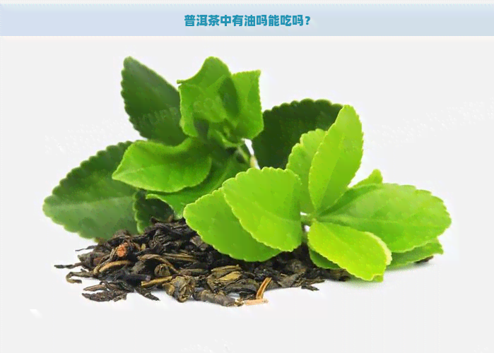 普洱茶中有油吗能吃吗？