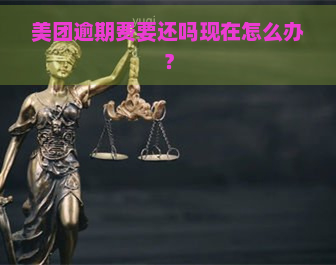 美团逾期费要还吗现在怎么办？